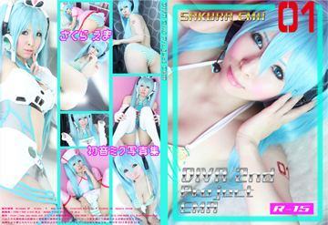 DIVA Project EMA 2nd